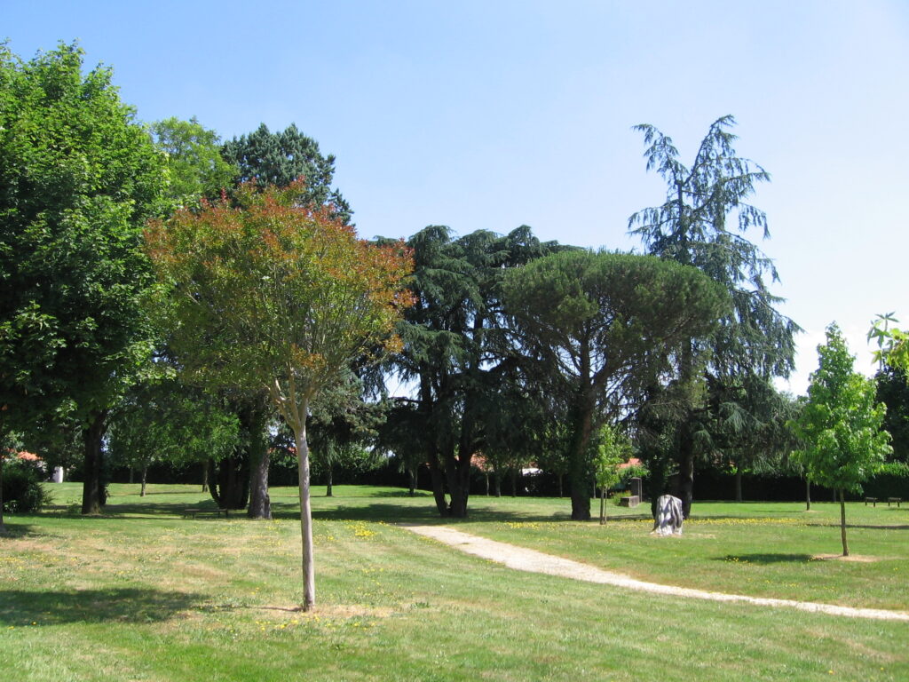 Photo du parc Pointe à Pitre